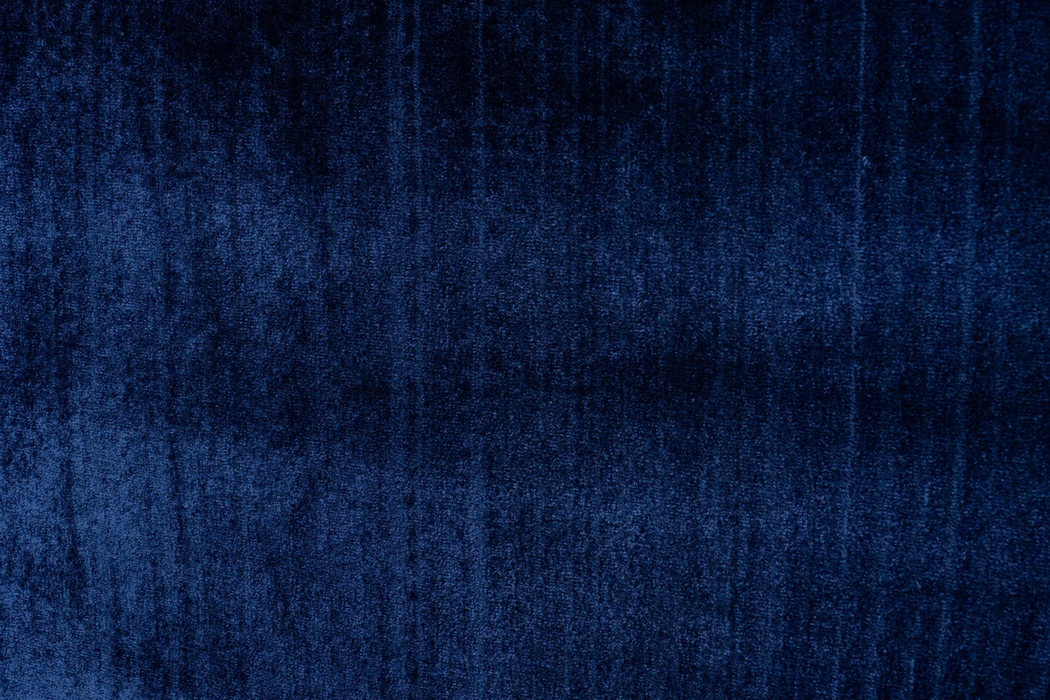 Royal Blue Daisy Wall-to-Wall Carpet