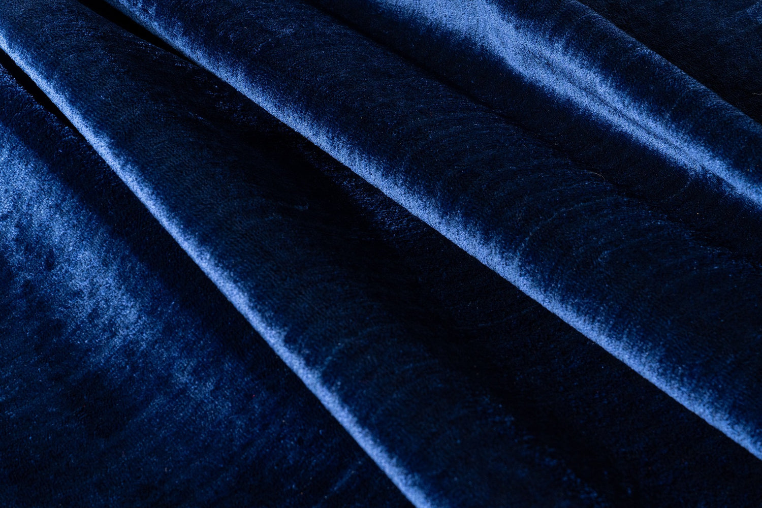 Royal Blue Daisy Wall-to-Wall Carpet