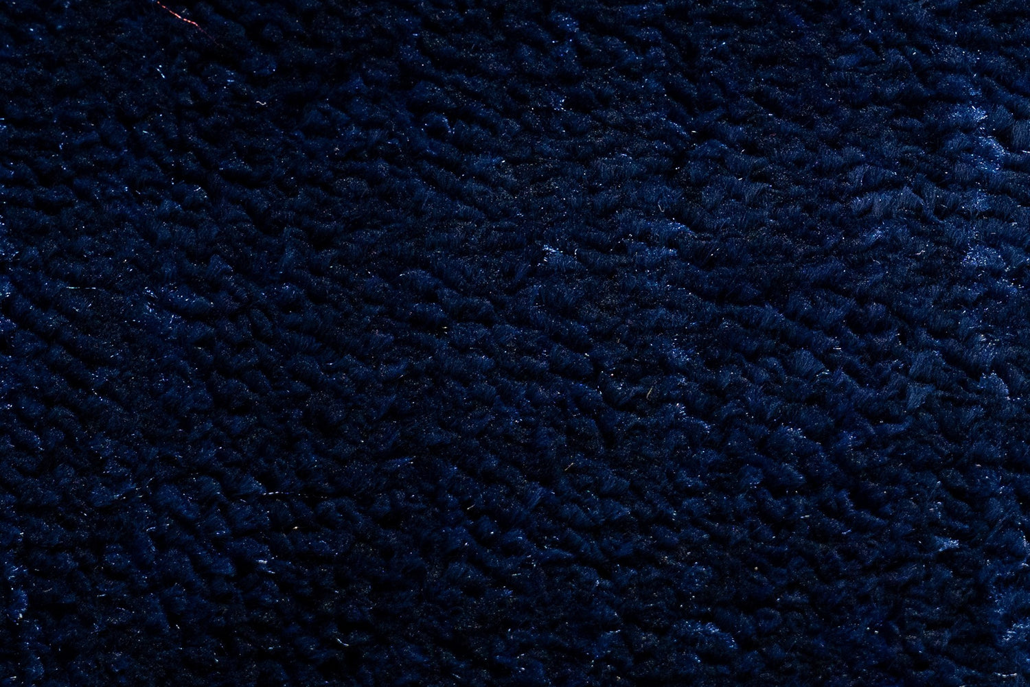 Royal Blue Daisy Wall-to-Wall Carpet
