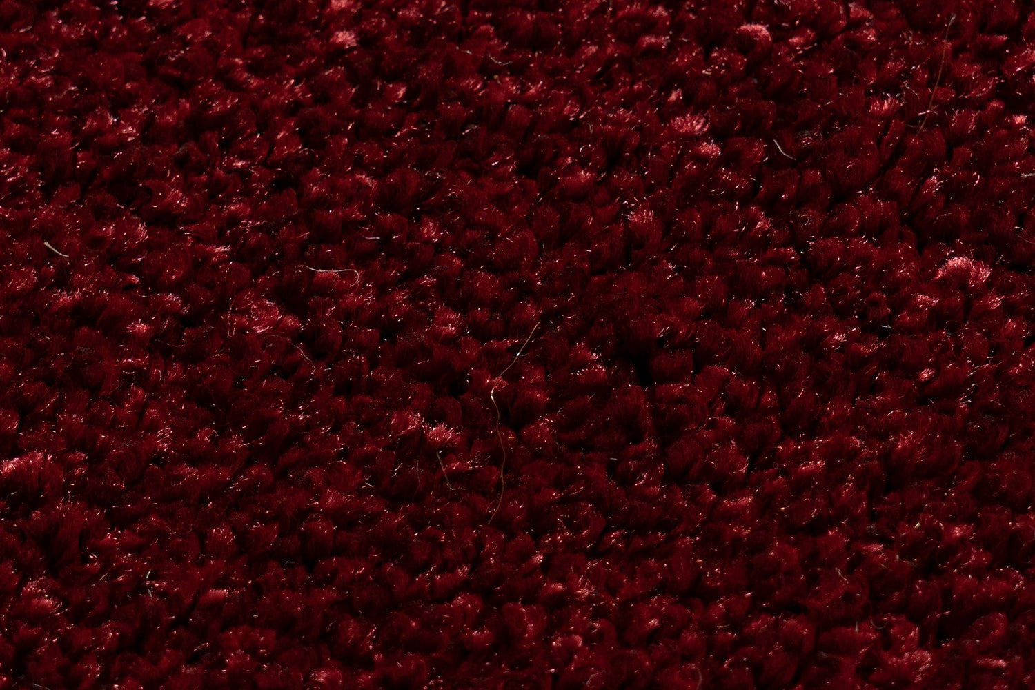 Royal maroon - Melody