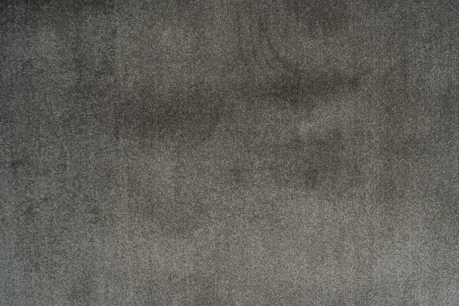 Lunar Grey Accord Wall-to-Wall Carpet