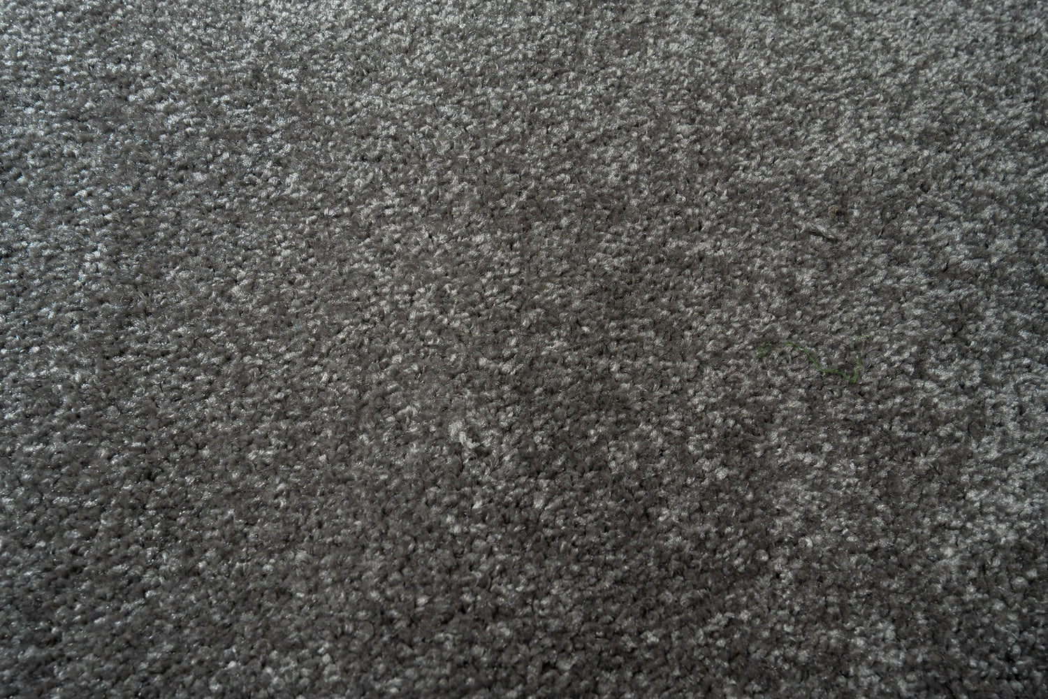 Lunar Grey Accord Wall-to-Wall Carpet