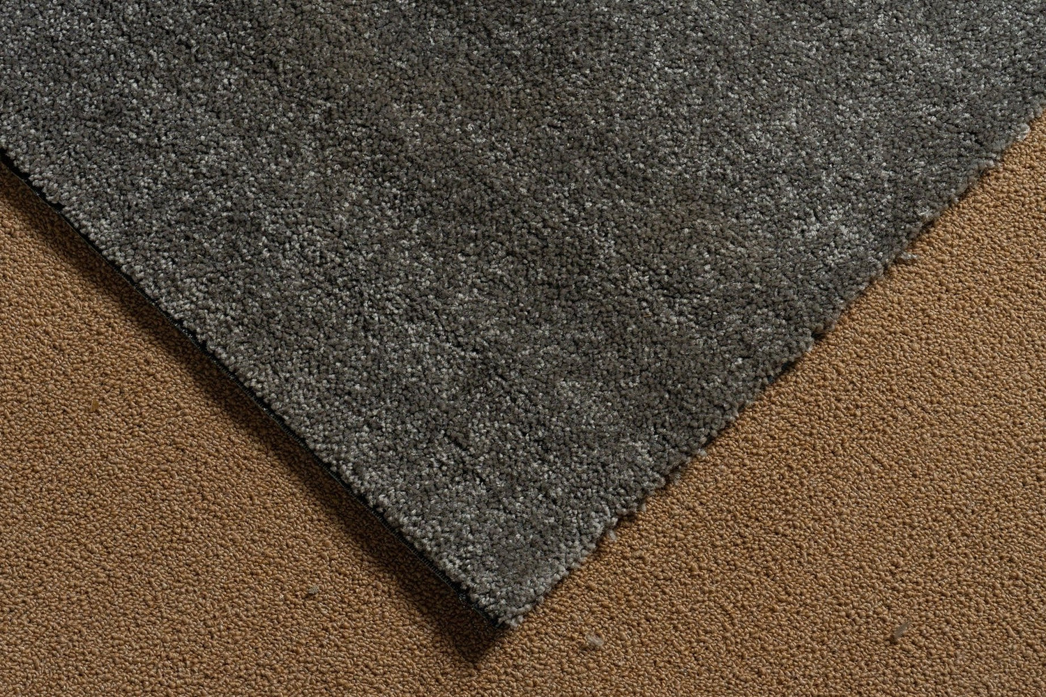 Lunar Grey Accord Wall-to-Wall Carpet