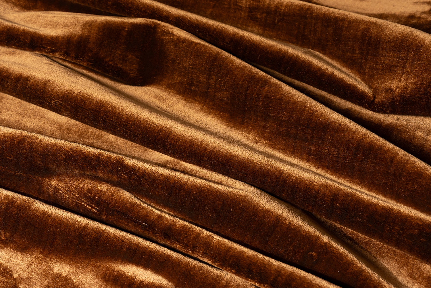 brown - Daisy